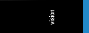Vision